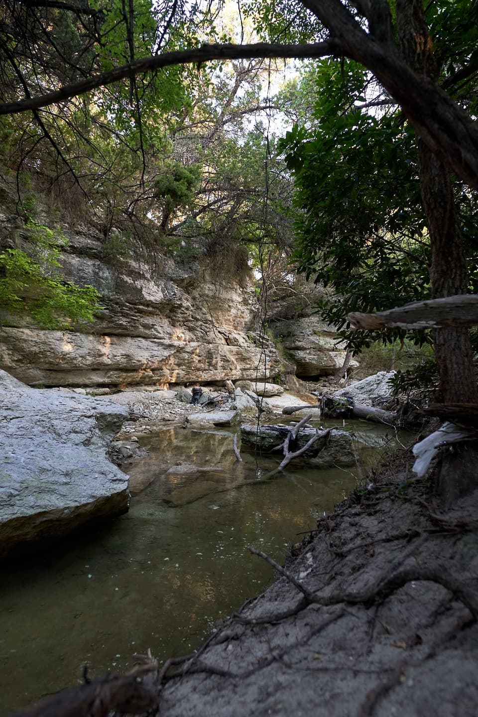 Walnut Creek Metropolitan Park