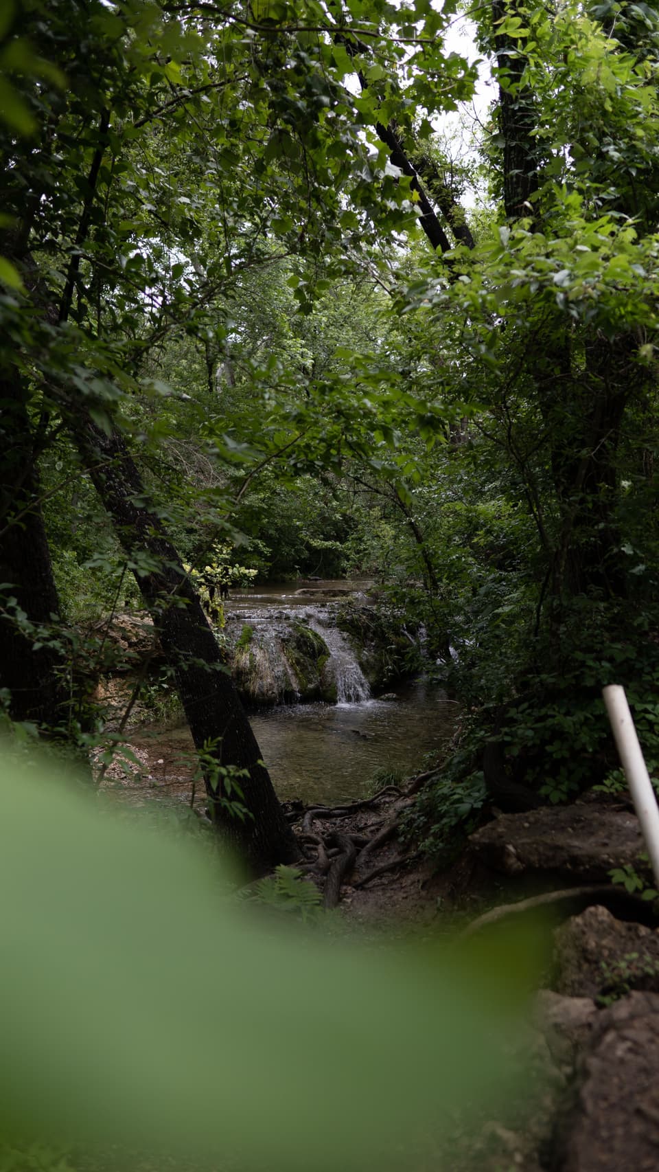 Twin Creeks Historic Park