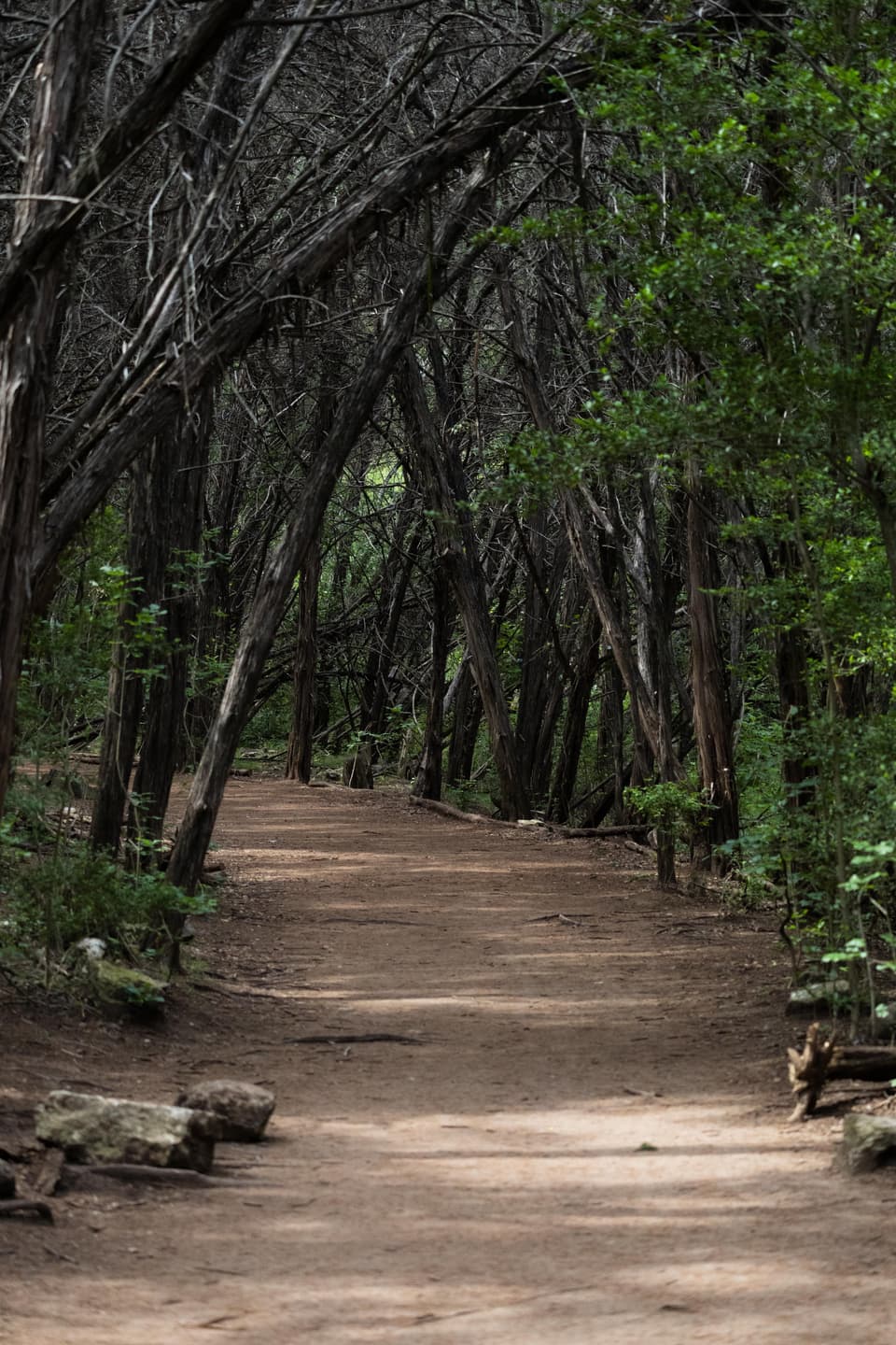 Turkey Creek Trail