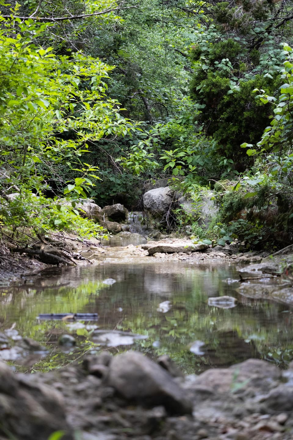 Turkey Creek Trail