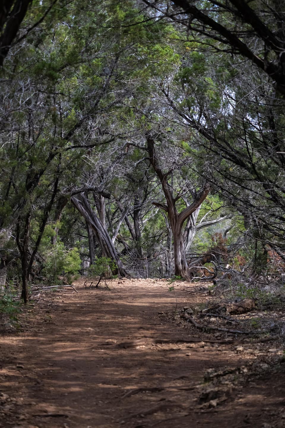 Turkey Creek Trail