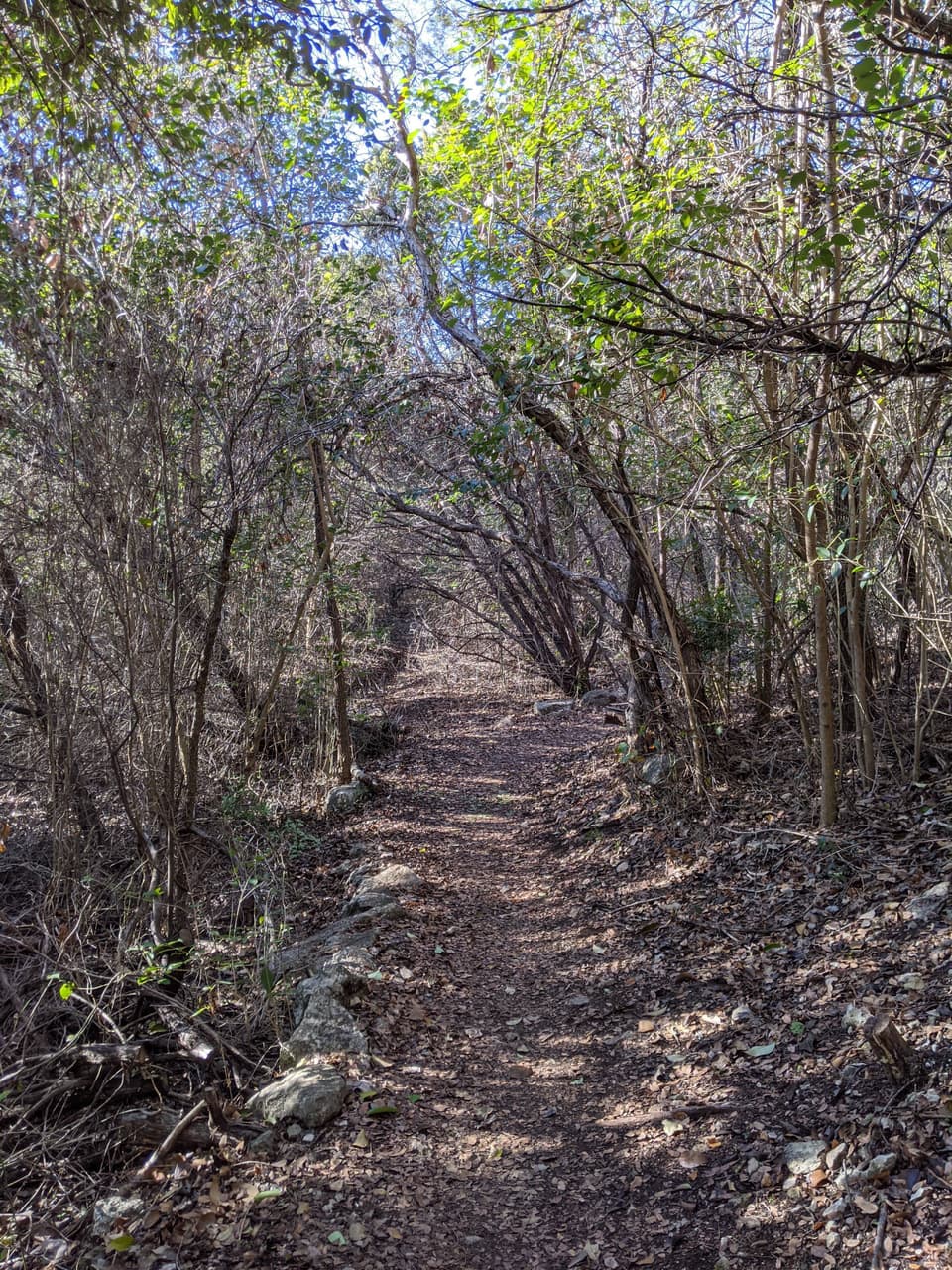 Great Hills Park Trail