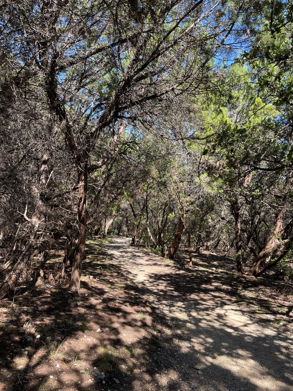 Great Hills Park Trail