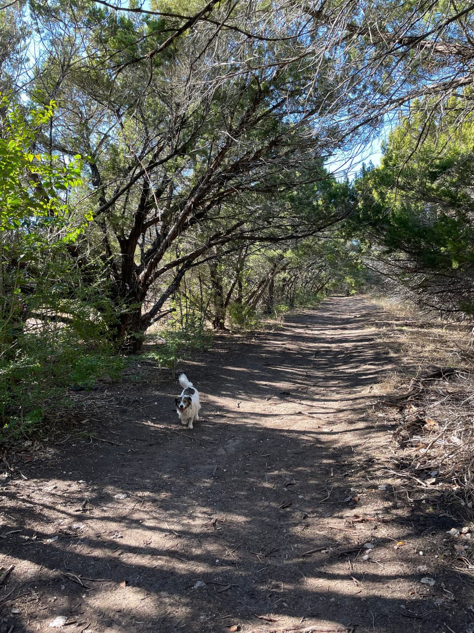Mary Moore off-leash trail