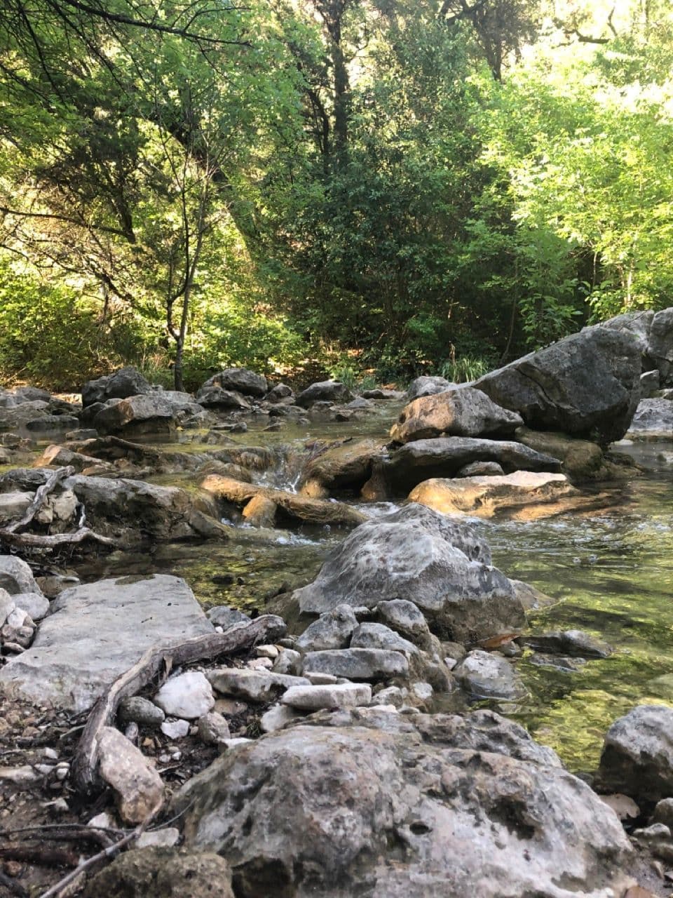 Turkey Creek Trail