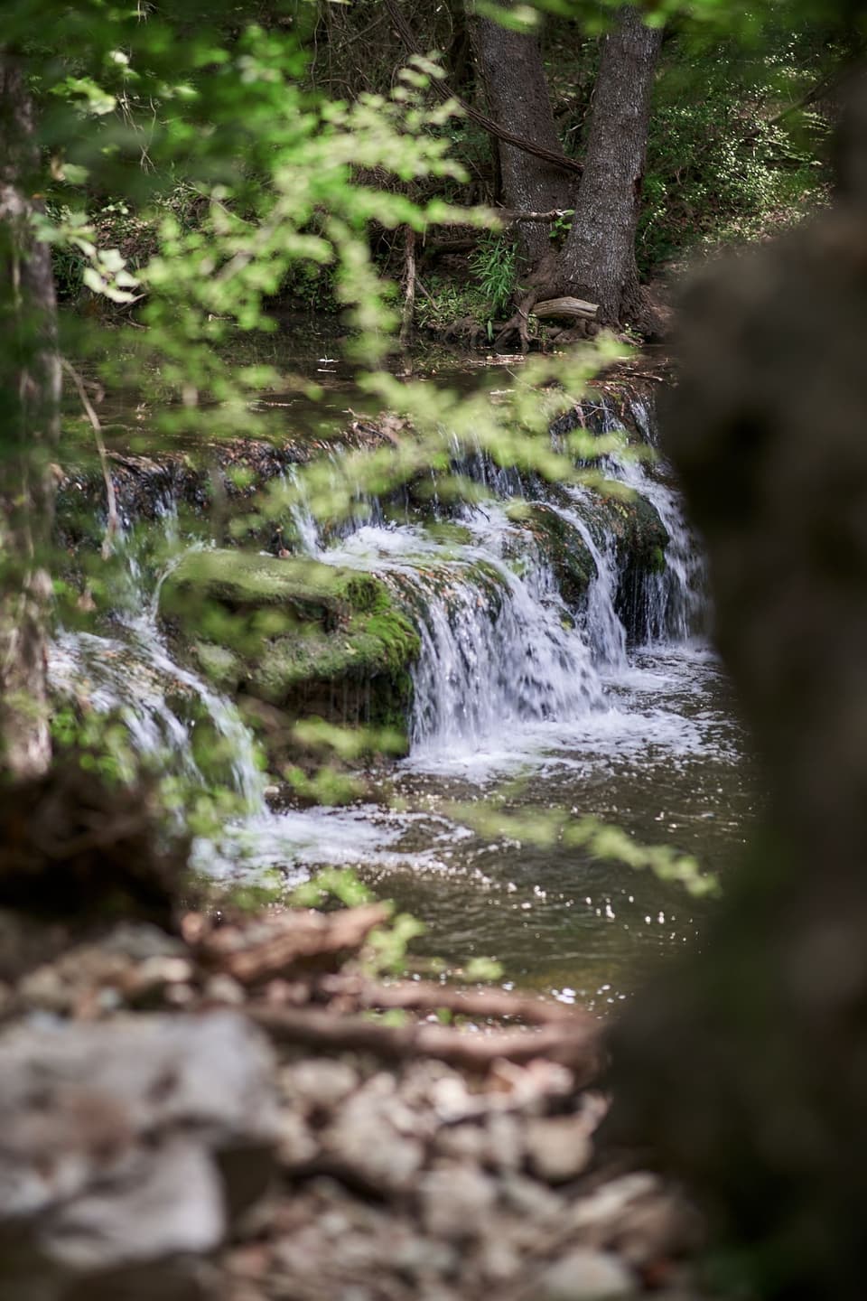 Spicewood Valley Trail